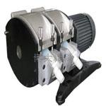 JL-300/483K×2雙通道工業型蠕動泵 