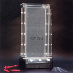 DYCZ-20ADNA序列分析電泳儀 