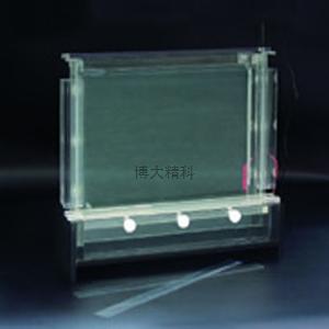 DYCZ-20CDNA序列分析電泳儀 