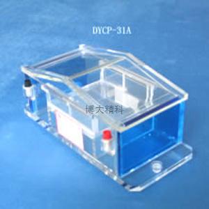 DYCP-31A微瓊脂糖電泳儀 