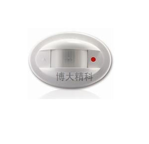 RK309幕簾方向性探測(cè)器 