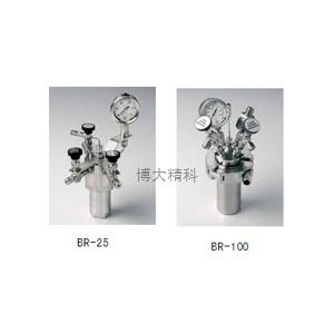 德國JULABO BR-100 高壓反應微量套裝 