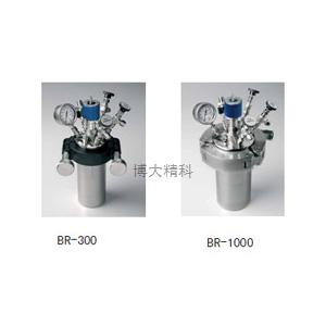 德國JULABO BR-1000 高壓反應小量套裝 