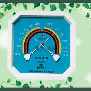 WSB-A1型溫濕表 