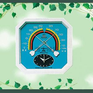 WSB-B1型溫濕表 