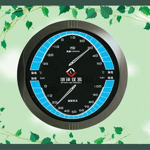 WSB-D1型溫濕表 