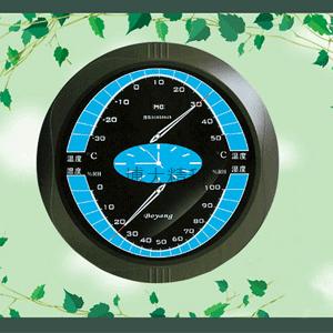 WSB-D2型溫濕表 