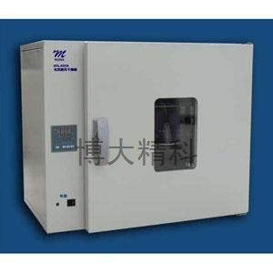 DHG-9203B 臺式電熱鼓風烘箱/干燥箱/干燥柜 