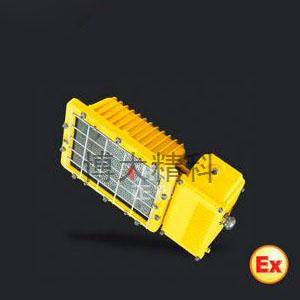 BTC6131廠用防爆泛光燈 