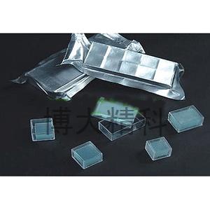 蓋玻片 20*20 