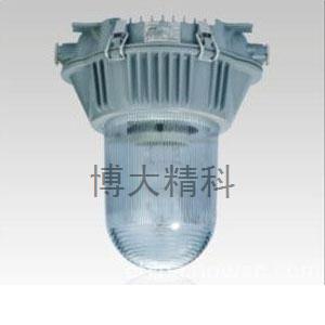 NFC9130防眩泛光燈 