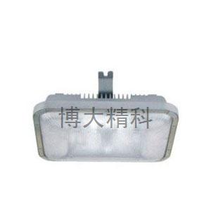 CNW9175長(zhǎng)壽無(wú)極頂燈 