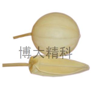 RJQD01乳膠球膽 