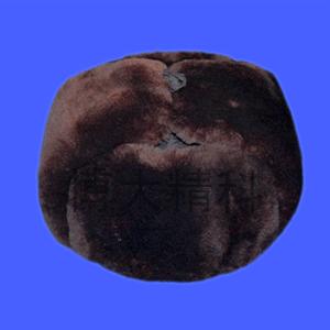 棉安全帽20頂/1箱