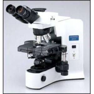 日本OLYMPUS奧林巴斯 BX51系列生物顯微鏡