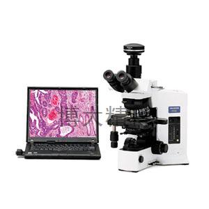日本OLYMPUS奧林巴斯 BX51M科研級正置系統(tǒng)顯微鏡