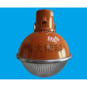 博大精科 FS-S1185 三防節能燈