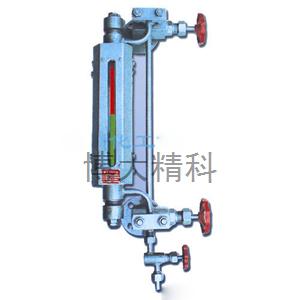 博大精科 雙色電接點式水位計