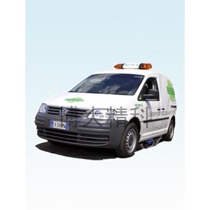 英國雷迪 車載式激光檢測系統