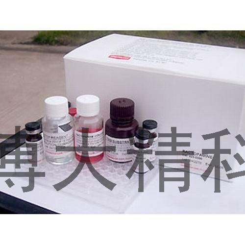 禽流感試劑盒
